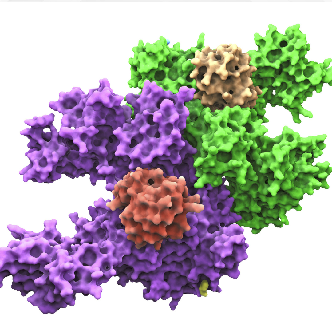 Start from a biological target